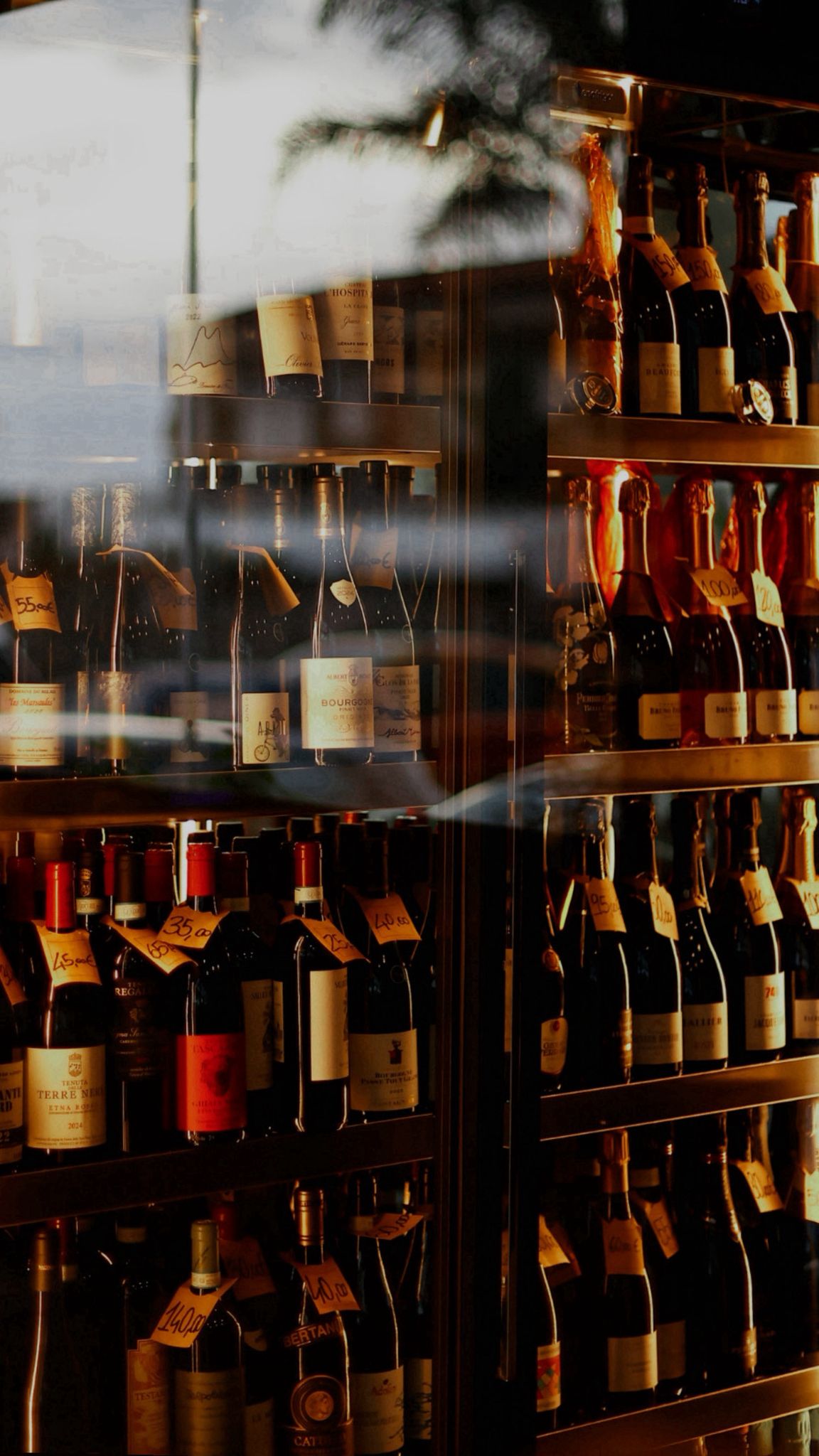 Cantina di 250 etichette